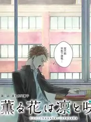 舞台的诞生 音乐综艺在线观看